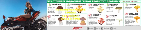 молекула духа Аркадак