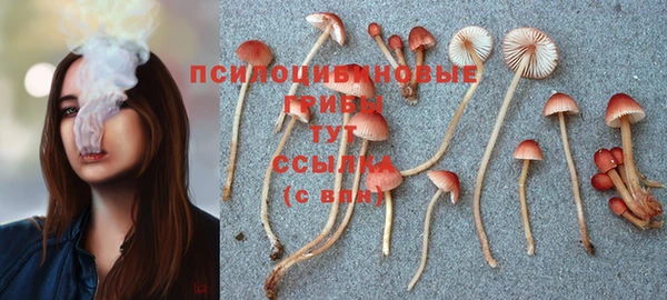 молекула духа Аркадак