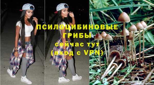 прущая мука Арсеньев