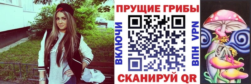 Псилоцибиновые грибы мицелий  Чехов 